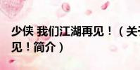 少俠 我們江湖再見!(關于少俠 我們江湖再見!簡介)