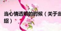 當心情透明的時候(關于當心情透明的時候介紹)