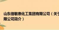 山東信敏惠化工集團有限公司(關于山東信敏惠化工集團有限公司簡介)
