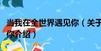 當我在全世界遇見你(關于當我在全世界遇見你介紹)