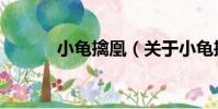 小龜擒凰(關于小龜擒凰簡介)