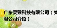 廣東靈猴科技有限公司(關于廣東靈猴科技有限公司介紹)