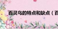 百靈鳥的特點和缺點(百靈鳥的特點)