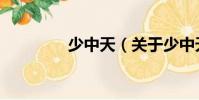 少中天(關于少中天簡介)