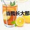 當我長大那年（關于當我長大那年介紹）