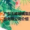 廣東玉峰玻璃集團股份有限公司（關于廣東玉峰玻璃集團股份有限公司介紹）