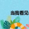 當我看見你（關于當我看見你介紹）