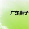 廣東獅子會（關于廣東獅子會介紹）