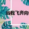 當我飛奔向你（關于當我飛奔向你介紹）