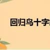 回歸鳥十字繡圖案大全（回歸鳥十字繡）