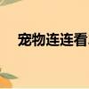 寵物連連看2.6全屏（寵物連連看2 6版）