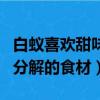 白蟻喜歡甜味易分解的食物（白蟻喜歡甜味易分解的食材）