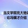 當文學照亮大地遺產：論馮驥才（關于當文學照亮大地遺產：論馮驥才介紹）