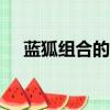 藍狐組合的100首歌曲（藍狐組合歌曲）
