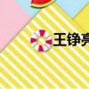 王錚亮結婚照（王錚亮結婚）