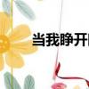 當我睜開眼（關于當我睜開眼介紹）