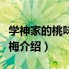 學神家的桃味小青梅（關于學神家的桃味小青梅介紹）