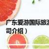 廣東愛游國際旅游有限公司（關于廣東愛游國際旅游有限公司介紹）