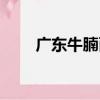 廣東牛腩面（關于廣東牛腩面介紹）