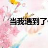當我遇到了你（關于當我遇到了你介紹）