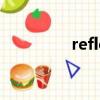 reflects英文（reflects）