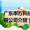 廣東率方科技有限公司（關于廣東率方科技有限公司介紹）