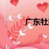 廣東牡荊（關于廣東牡荊介紹）