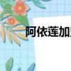 阿依蓮加盟代理（阿依蓮加盟條件）