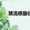 豬流感最佳治療方法（豬流感死亡率）