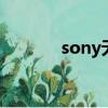 sony無線耳機（sonyw220）