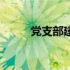 黨支部建設標準化（黨支部建設）