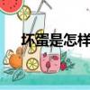 壞蛋是怎樣煉成的2有聲小說（壞蛋蛋）