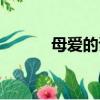 母愛的詩歌現代（母愛的詩歌）
