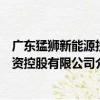 廣東猛獅新能源投資控股有限公司（關于廣東猛獅新能源投資控股有限公司介紹）