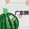廣東獅鼓（關于廣東獅鼓介紹）