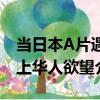 當日本A片遇上華人欲望（關于當日本A片遇上華人欲望介紹）