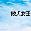 敗犬女王什么意思（敗犬女王優酷）