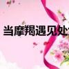 當摩羯遇見處女（關于當摩羯遇見處女介紹）