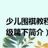 少兒圍棋教程高級篇下（關于少兒圍棋教程高級篇下簡介）