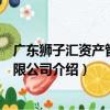廣東獅子匯資產管理有限公司（關于廣東獅子匯資產管理有限公司介紹）