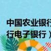 中國農業銀行電子賬戶有什么用（中國農業銀行電子銀行）