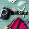 當我遇見我（關于當我遇見我介紹）