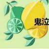 鬼泣5（鬼泣automatic）