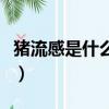 豬流感是什么癥狀幾天能康復（豬流感是什么）