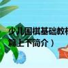 少兒圍棋基礎教材啟蒙篇上下（關于少兒圍棋基礎教材啟蒙篇上下簡介）