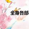 全身各部位推拿（全身各部位抽脂）