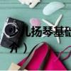 少兒揚琴基礎教程（關于少兒揚琴基礎教程簡介）