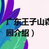 廣東王子山森林公園（關于廣東王子山森林公園介紹）