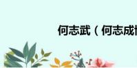 何志武(何志成博客)