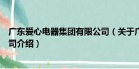 廣東愛心電器集團有限公司(關于廣東愛心電器集團有限公司介紹)